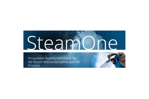 SteamOne